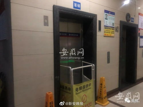 突发 合肥一小区电梯冲顶,致一女子多处骨折