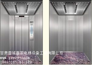 兰州乘客电梯,甘肃乘客电梯,兰州乘客电梯安装就在一城一家电梯立体车库